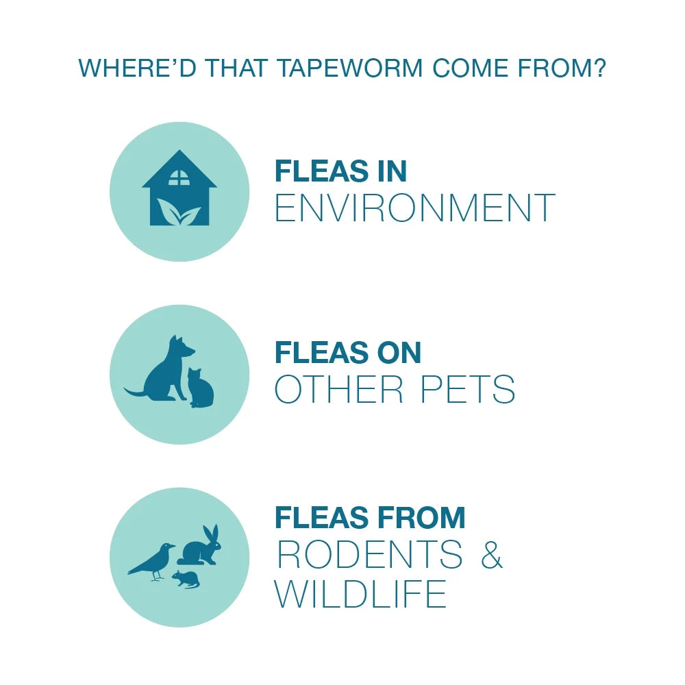 (4 Pack) Elanco Tapeworm Removal Dewormer for Cats, 3 Tablets Praziquantel