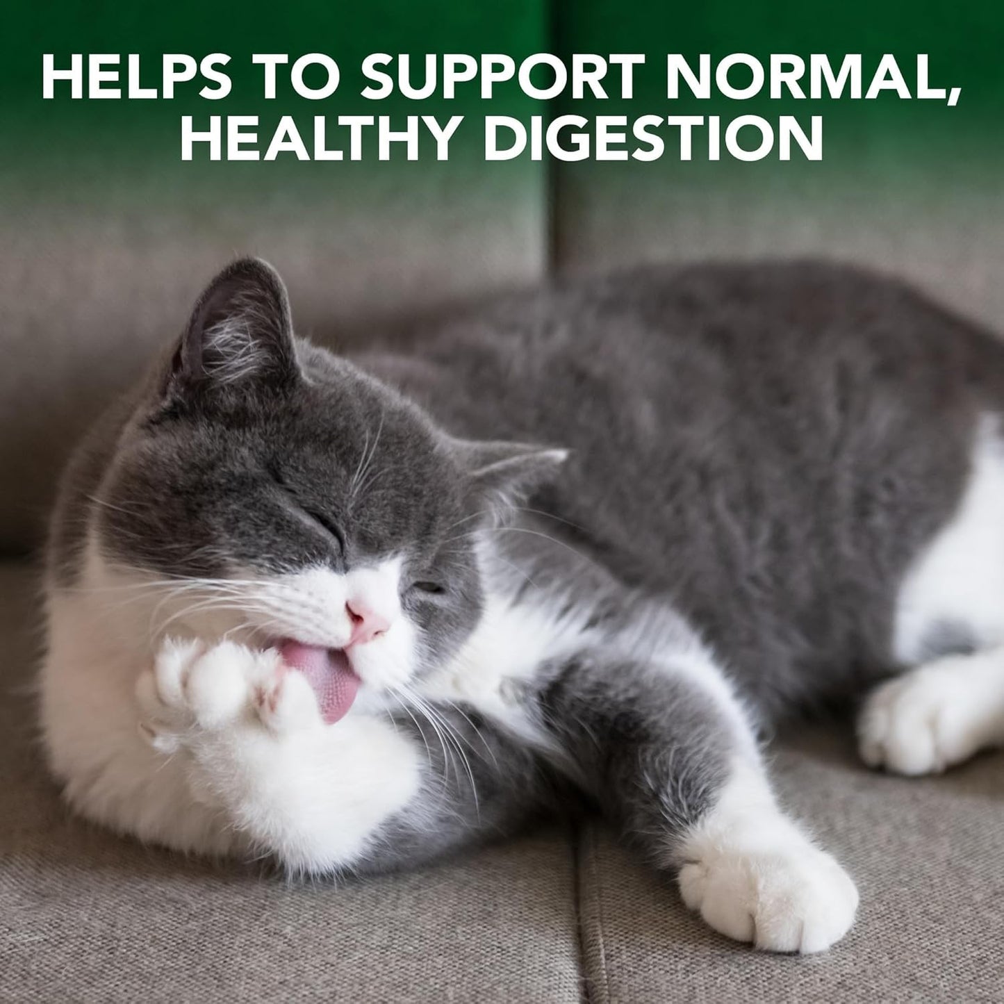 Cat Hairball Relief Digestive Aid, Vet Formulated Hairball Support Remedy, Hairb