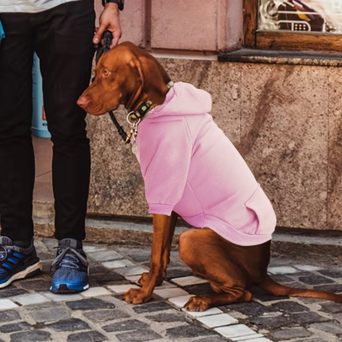 Dog Hoodie with Pocket - Fall Winter Warm Sweater Puppy Clothes Pet Sweaters for Small Dogs for Small Medium Dogs Dog Clothes Medium Size Dog Boy Girl Clothes for Pet Dog Cat Clothes for S