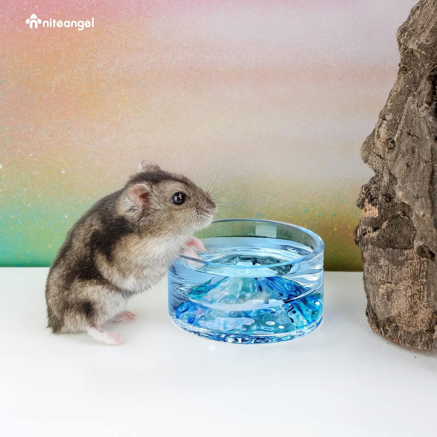 Hamster Feeding & Water Bowls- Mount Fuji Series Glass Drinking Bowls for Dwarf Syrian Hamsters Gerbils Mice Rats or Other Similar-Sized Small Pets
