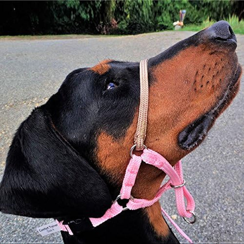 Comfort Trainer Head Halter, Tan Size 3