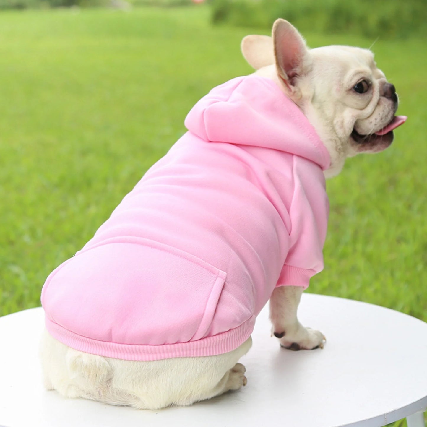 Dog Hoodie with Pocket - Fall Winter Warm Sweater Puppy Clothes Pet Sweaters for Small Dogs for Small Medium Dogs Dog Clothes Medium Size Dog Boy Girl Clothes for Pet Dog Cat Clothes for S
