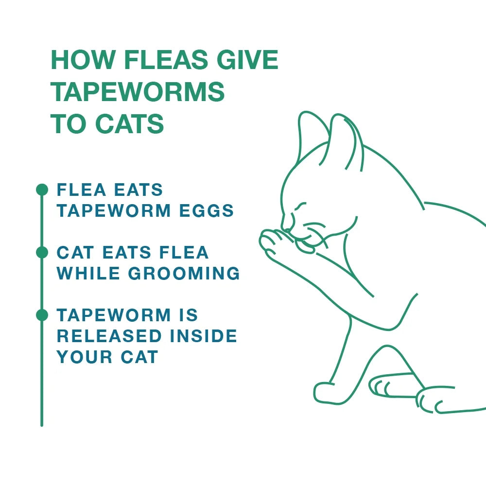 (4 Pack) Elanco Tapeworm Removal Dewormer for Cats, 3 Tablets Praziquantel