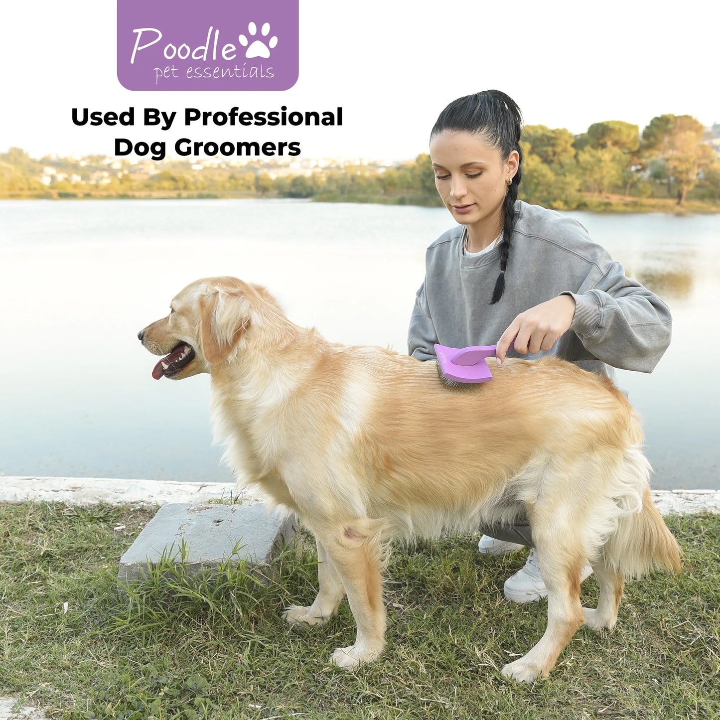 Slicker Brush for Dogs - Detangling Dog Brushes for Grooming with Soft Bristles & Long Pins - Professional Dog Grooming Brush to Removes Tangles & Dirt (Large)