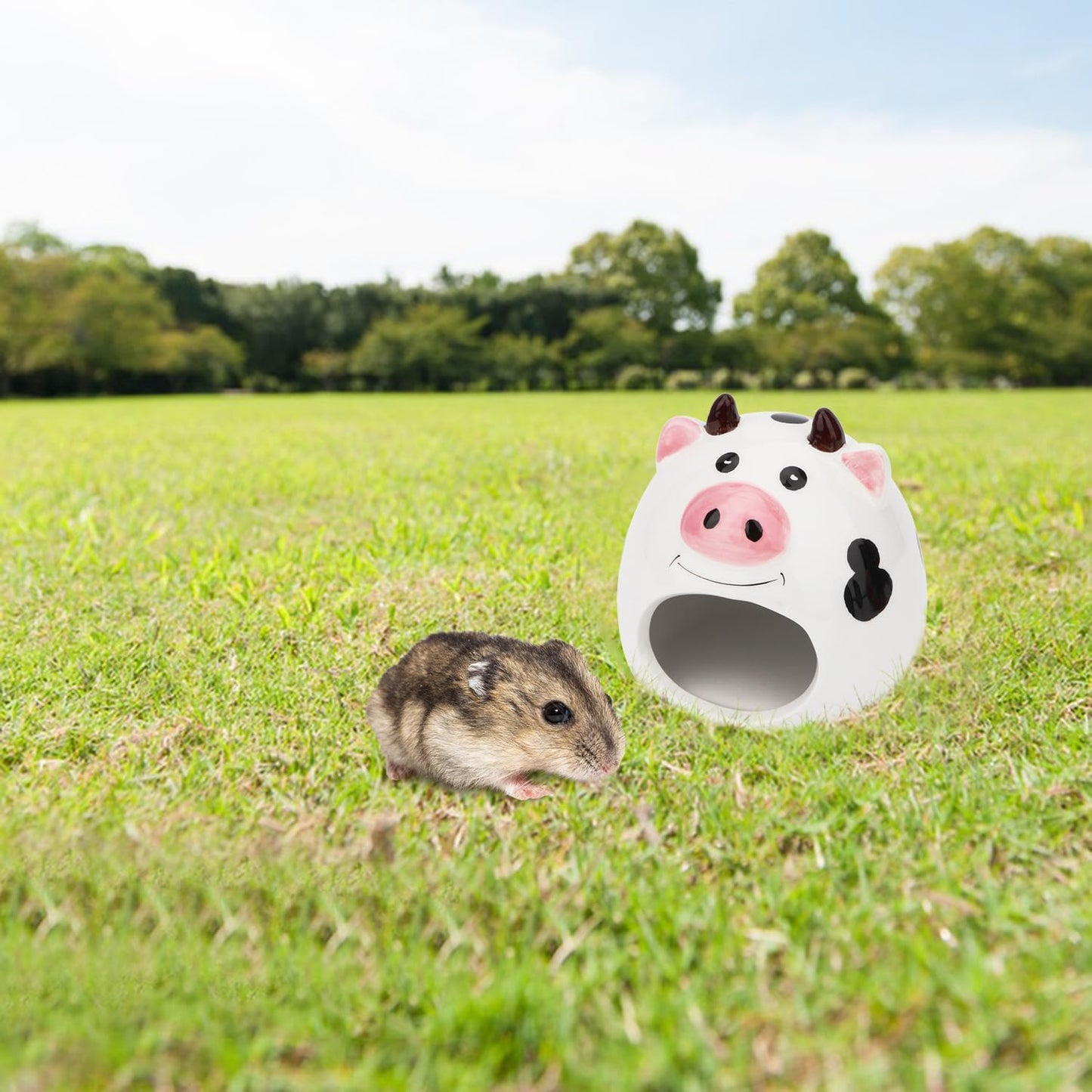 Small Animal Hideout Ceramic House Critter Bath House Cave Mini Hut Cage for Dwarf Hamster (White)