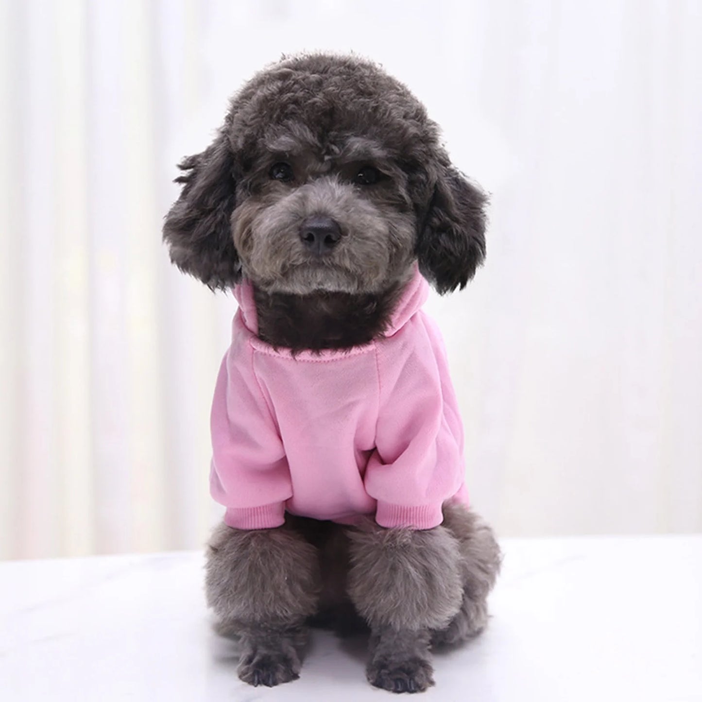 Dog Hoodie with Pocket - Fall Winter Warm Sweater Puppy Clothes Pet Sweaters for Small Dogs for Small Medium Dogs Dog Clothes Medium Size Dog Boy Girl Clothes for Pet Dog Cat Clothes for S