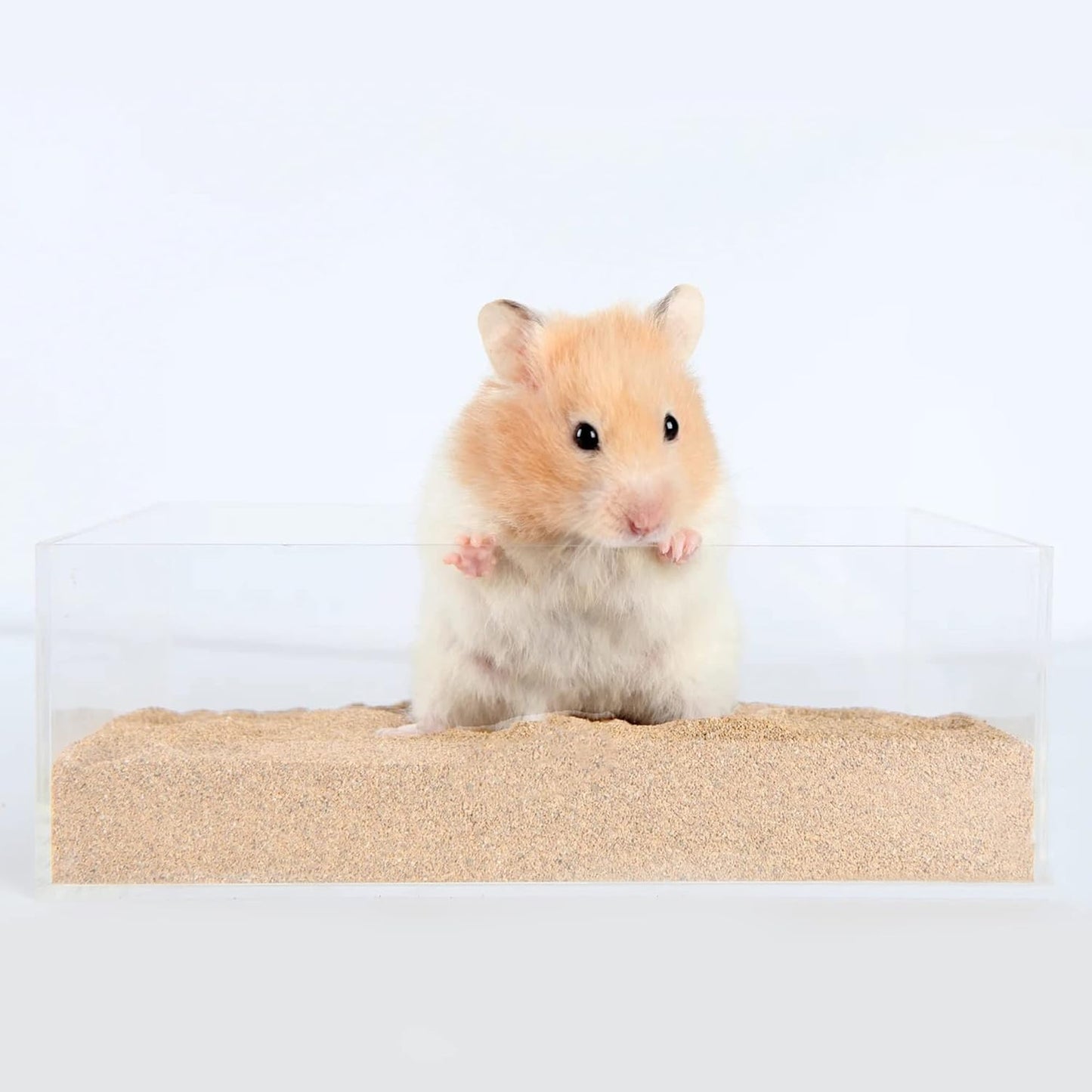 DR.DUDU Hamster Bath Sand, 6.6Lb Dust Free Desert Sand or Potty Litter Sand For