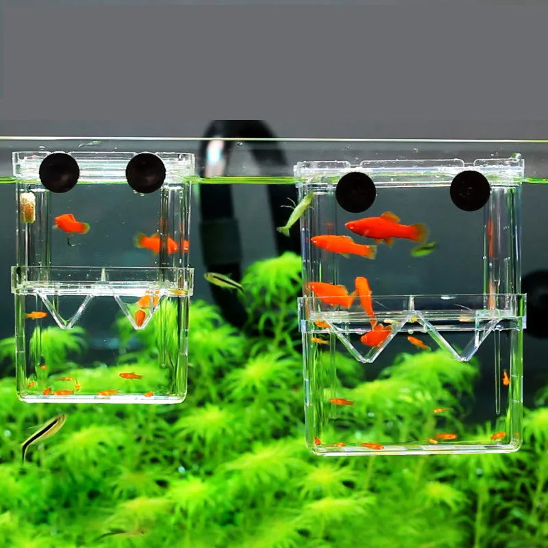 Fish Tank Aquarium Accessories Acrylic Breeding Isolation Box Aquarium Hatchery Incubator Holder 3 Types Fish Tanks