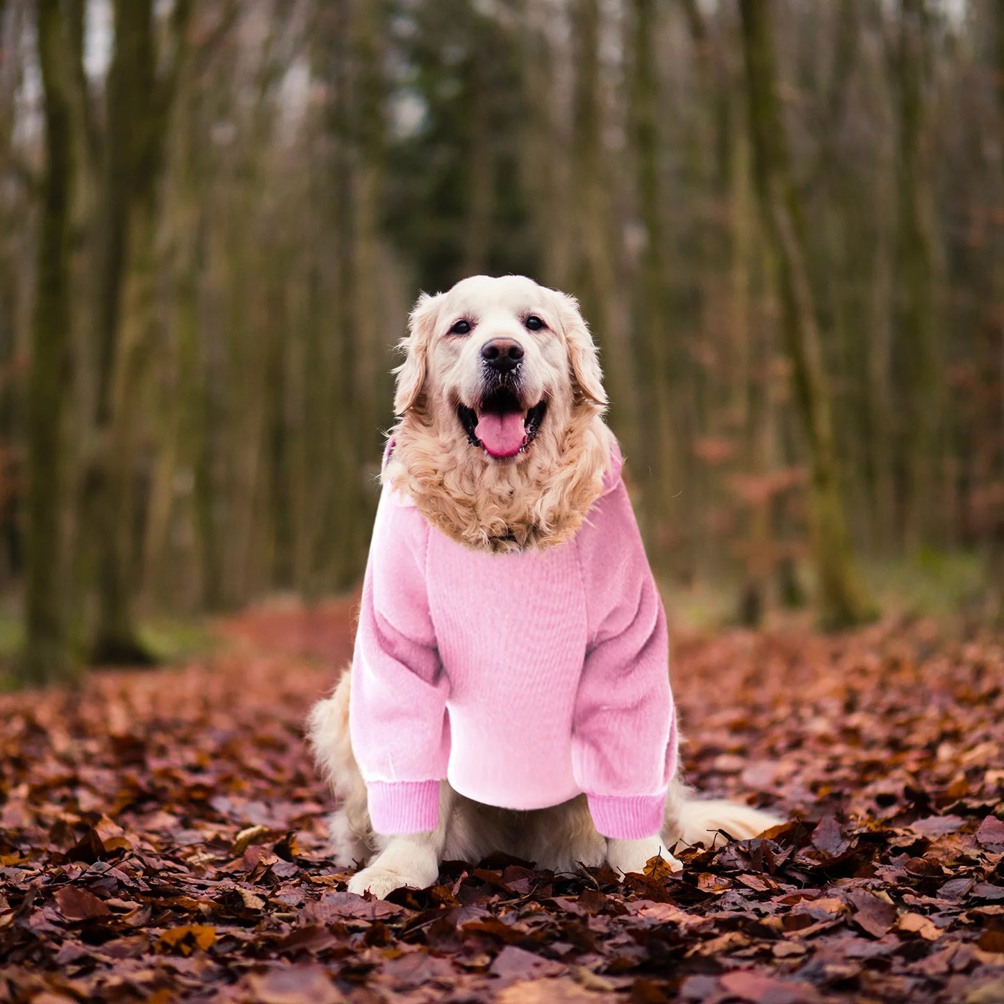 Dog Hoodie with Pocket - Fall Winter Warm Sweater Puppy Clothes Pet Sweaters for Small Dogs for Small Medium Dogs Dog Clothes Medium Size Dog Boy Girl Clothes for Pet Dog Cat Clothes for S