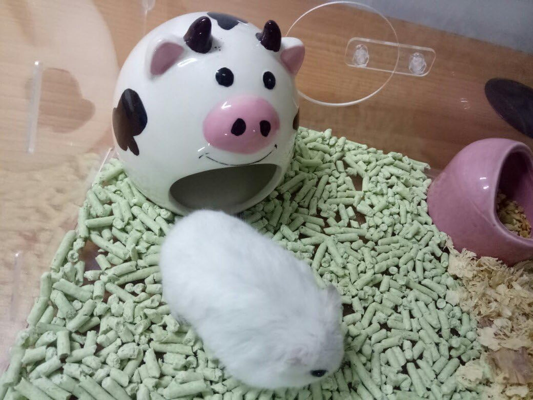 Small Animal Hideout Ceramic House Critter Bath House Cave Mini Hut Cage for Dwarf Hamster (White)