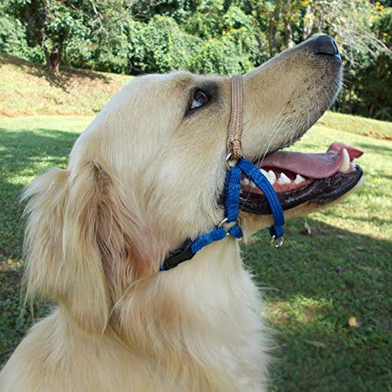 Comfort Trainer Head Halter, Tan Size 3