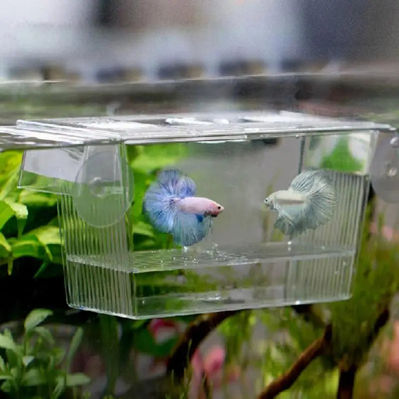 Fish Tank Aquarium Accessories Acrylic Breeding Isolation Box Aquarium Hatchery Incubator Holder 3 Types Fish Tanks