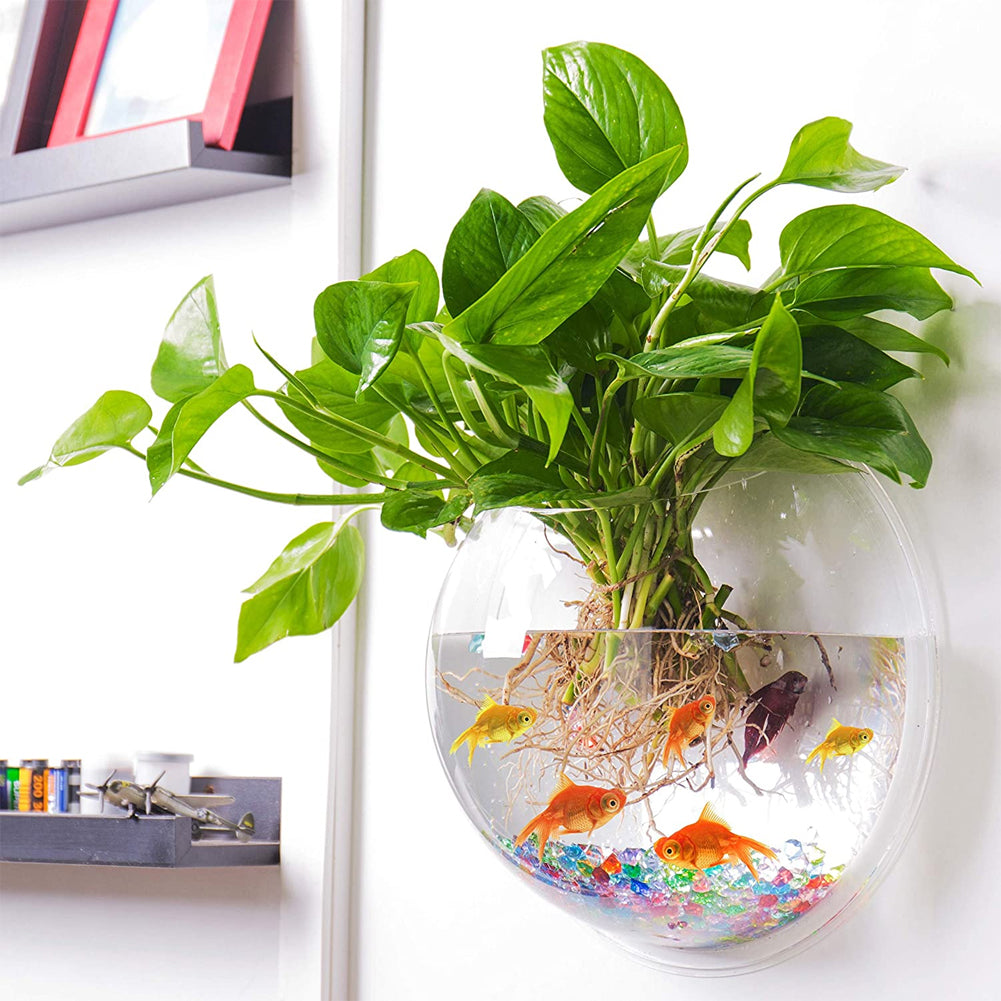 Wall Fish Bubble Wall Hanging Bowl Clear Acrylic Vase Flower Plant Pot Aquarium 6Inch