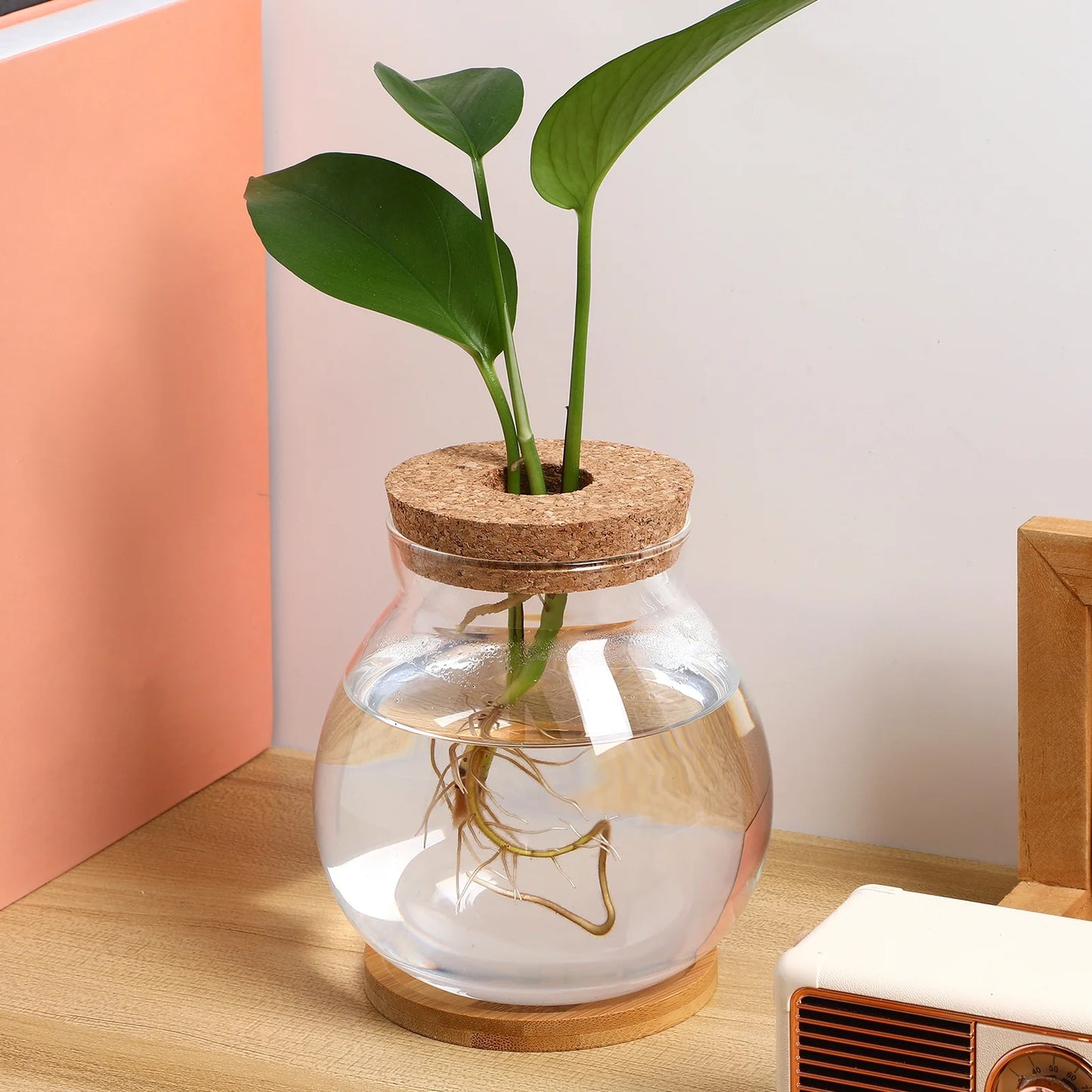 Betta Fish Tank Desktop Fish Bowl Hydroponic Terrarium Glass Small Fish Tank with Bamboo Cushion(5.51X5.12X1.18Inches)