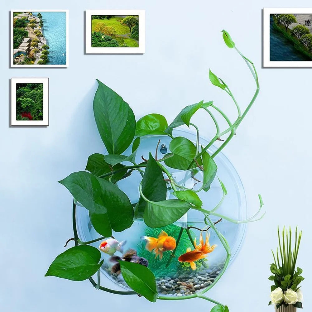 Wall Fish Bubble Wall Hanging Bowl Clear Acrylic Vase Flower Plant Pot Aquarium 6Inch