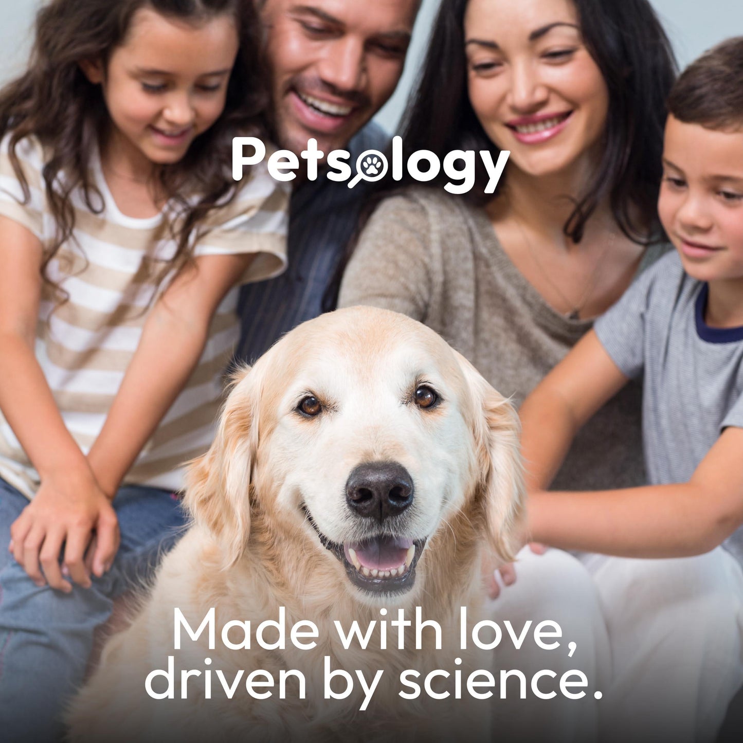 Melatonin for Dogs Calming Chews for Dogs Made in USA