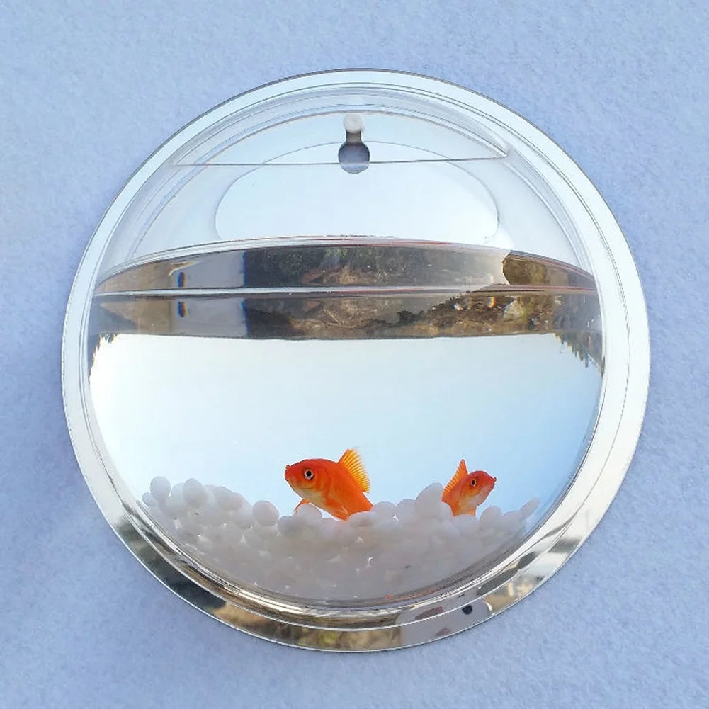 Wall Fish Bubble Wall Hanging Bowl Clear Acrylic Vase Flower Plant Pot Aquarium 6Inch