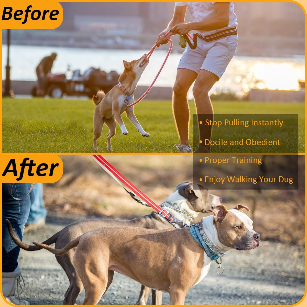 Quick - Release Dog Collar, Metal Leash Collar for Small Dogs, Medium Dogs, Large Dogs (XL(23-26" Neck))