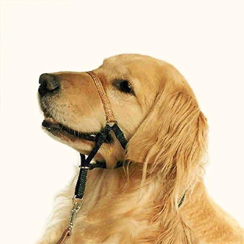 Comfort Trainer Head Halter, Tan Size 3