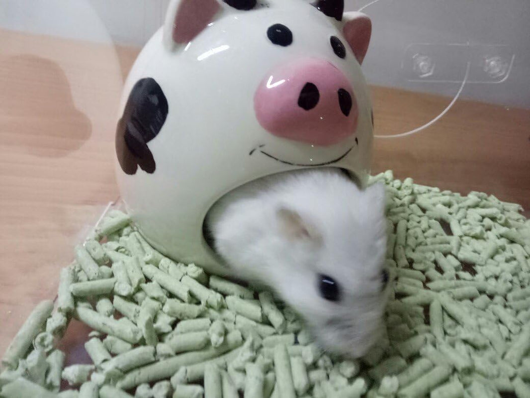 Small Animal Hideout Ceramic House Critter Bath House Cave Mini Hut Cage for Dwarf Hamster (White)