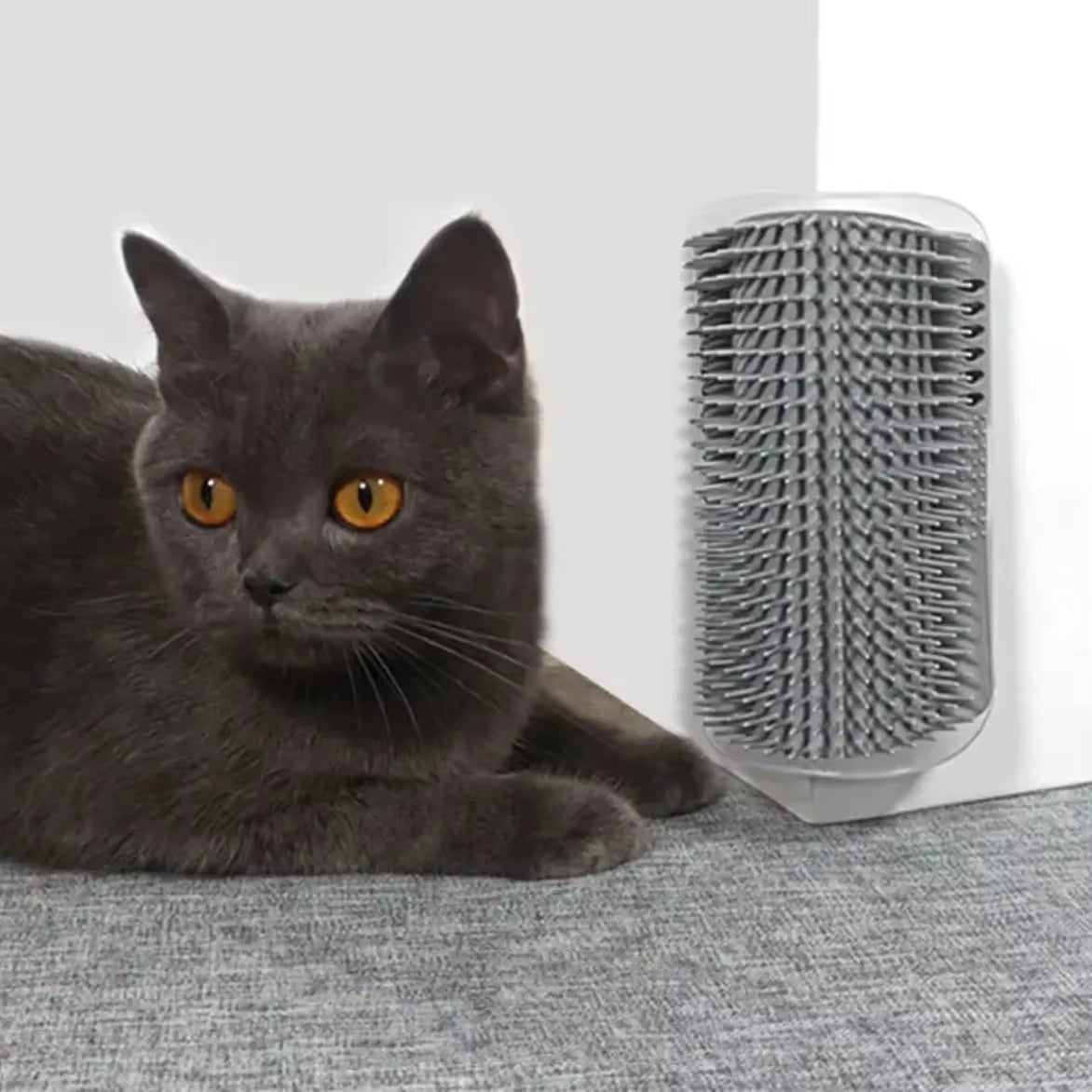 Cats Brush Removes Hair Self Comb Pet Hairstyles Things for Cats Catnip Cats Accessories Pets Massage Beauty Products Rub Face