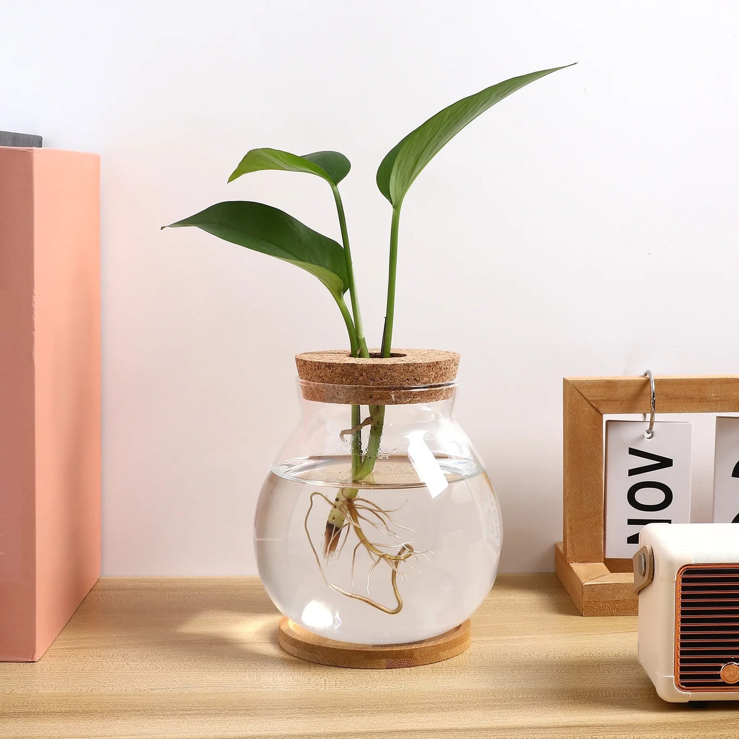 Betta Fish Tank Desktop Fish Bowl Hydroponic Terrarium Glass Small Fish Tank with Bamboo Cushion(5.51X5.12X1.18Inches)