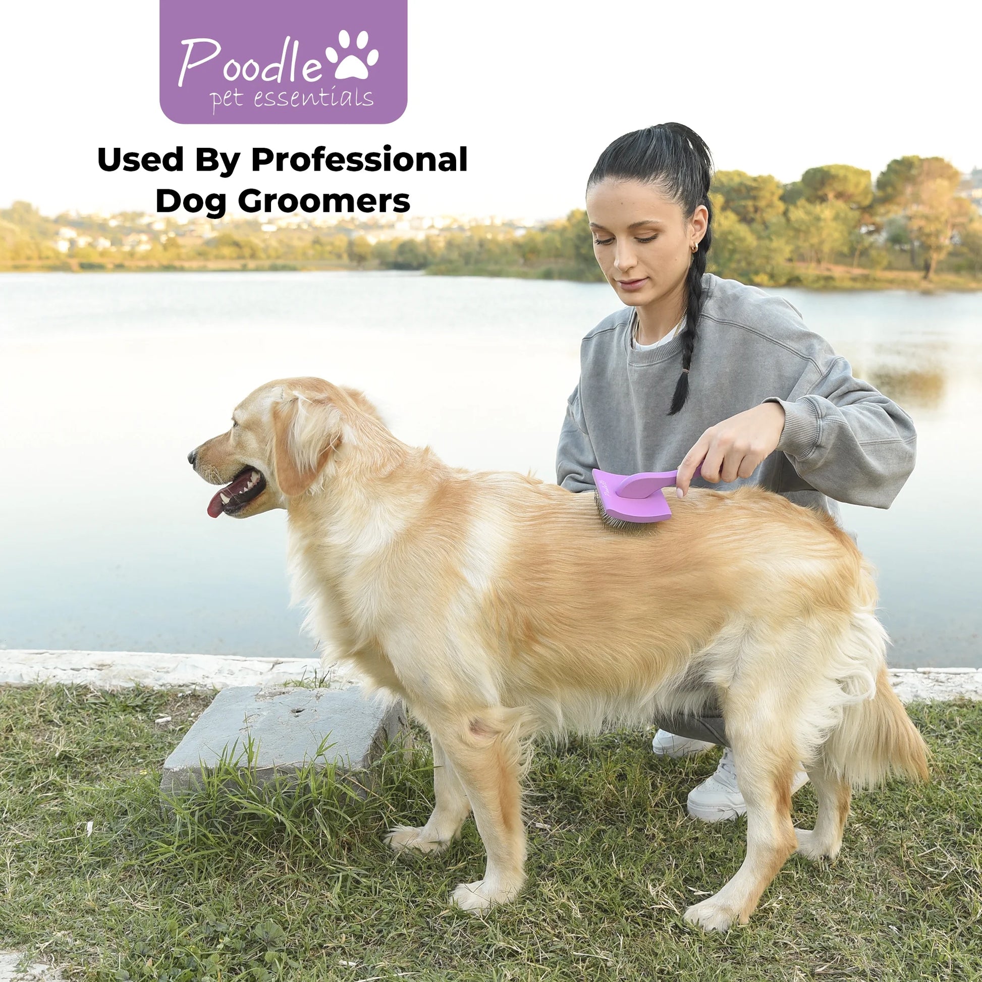 Slicker Brush for Dogs - Detangling Dog Brushes for Grooming with Soft Bristles & Long Pins - Professional Dog Grooming Brush to Removes Tangles & Dirt (Large)
