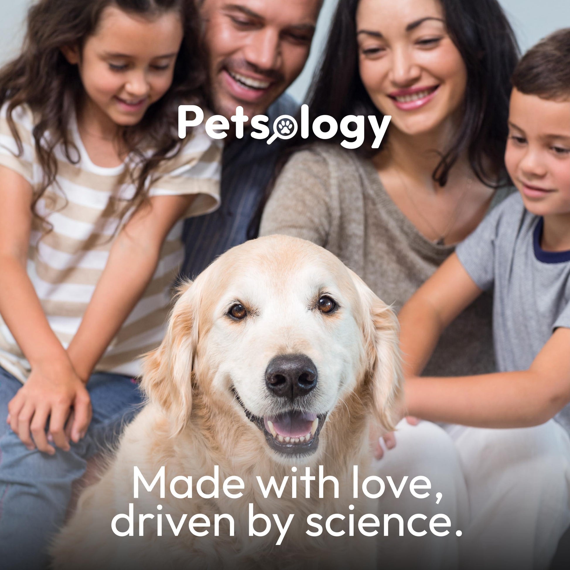 Melatonin for Dogs Calming Chews for Dogs Made in USA