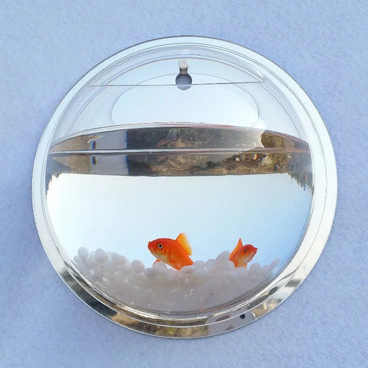 Wall Fish Bubble Wall Hanging Bowl Clear Acrylic Vase Flower Plant Pot Aquarium 6Inch